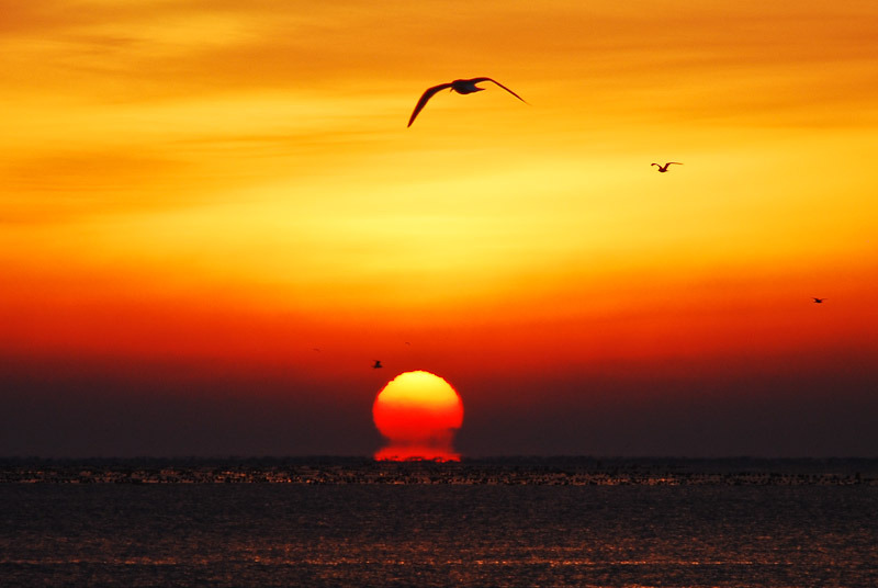 7e9336a93d3a9cdea146ae7aabdc5e45_1606374